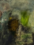 <p><em>Sea Lettuce, Tidepool Algae, Pt. Reyes</em>, 26″ x 20″, watercolor on yupo paper</p>
